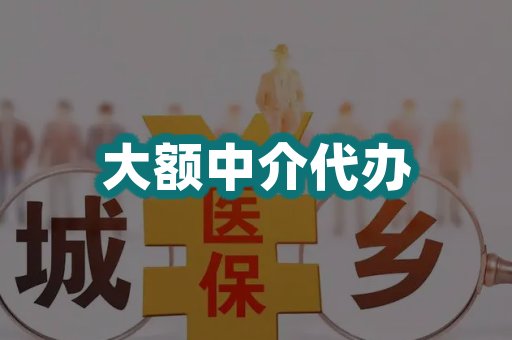 大额中介代办